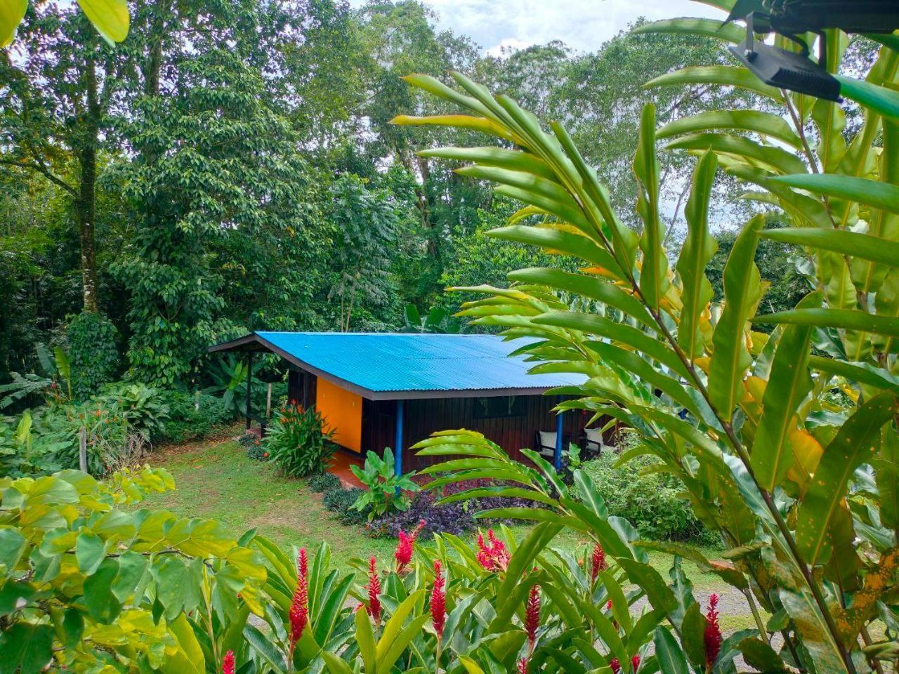 Gran Gavilan Del Sarapiqui Lodge Exterior photo